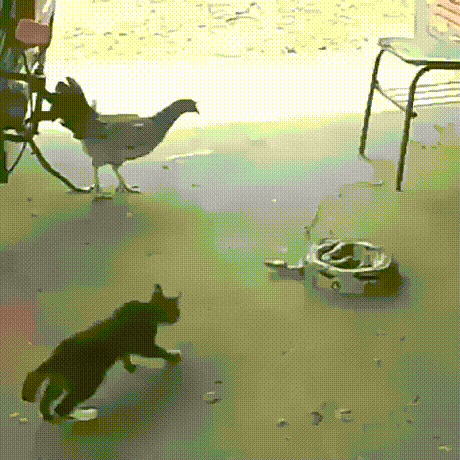 91137720925426_mos10