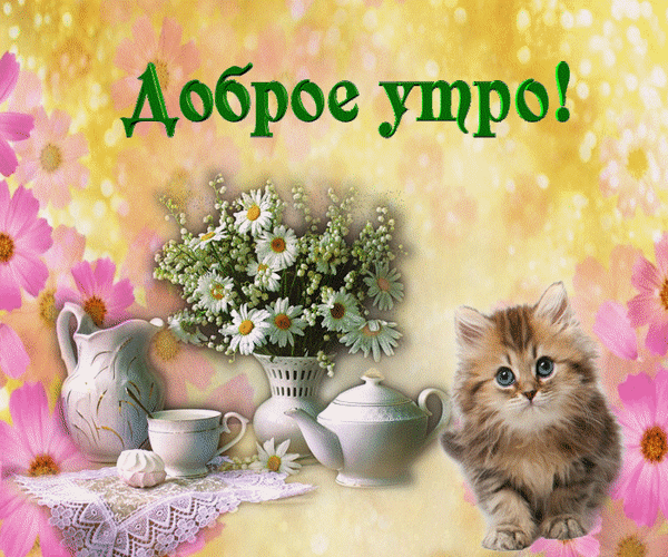 dobroe-utro-dobroe-utro-xoroshix-vyxodnyx