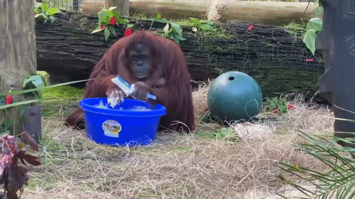 21104786413459__(15)