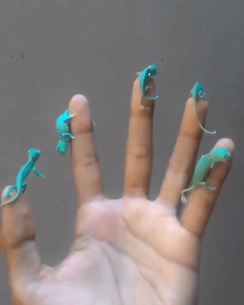 36035491670815__(11)