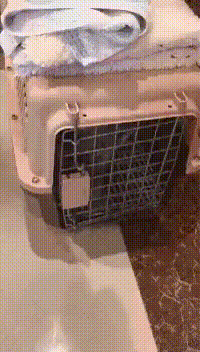 64294594626295_mos08