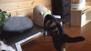 93483677241326_mos03