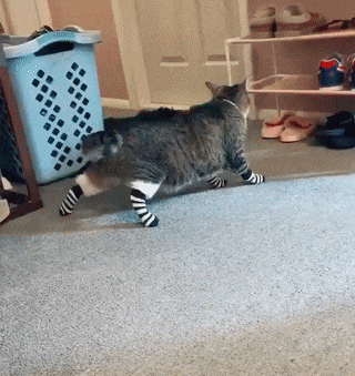 ezgif-3-30e1aa5331fd_1