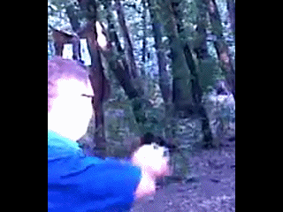 рогатка