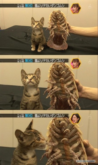 post-3-12450091402749