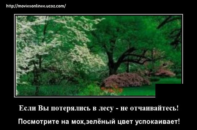 https://s02.yapfiles.ru/files/2399974/1592229333_demotivatory_20.jpg