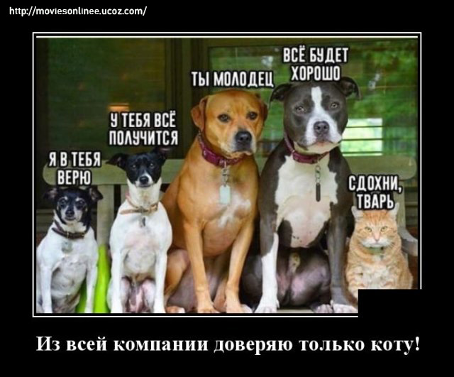 https://s02.yapfiles.ru/files/2399978/1592229362_demotivatory_11.jpg