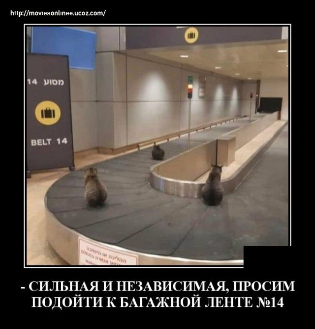 https://s02.yapfiles.ru/files/2399982/1592229369_demotivatory_04.jpg