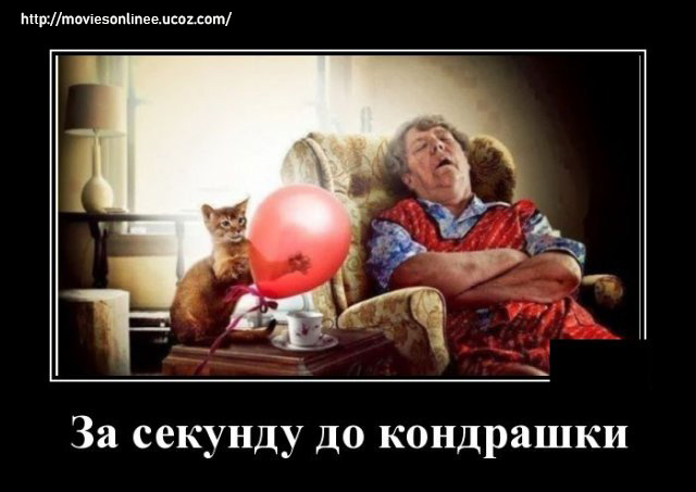 https://s02.yapfiles.ru/files/2400010/1592314469_demotivatory_13.jpg