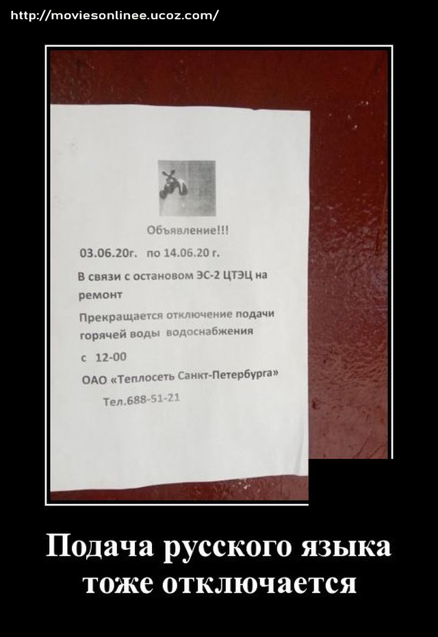 https://s02.yapfiles.ru/files/2400024/1592402018_demotivatory_19.jpg
