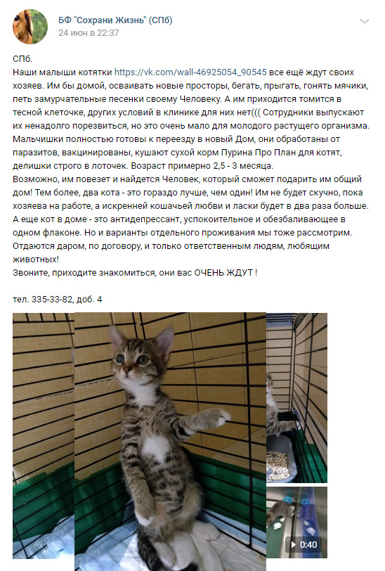 https://s02.yapfiles.ru/files/2400482/2.jpg