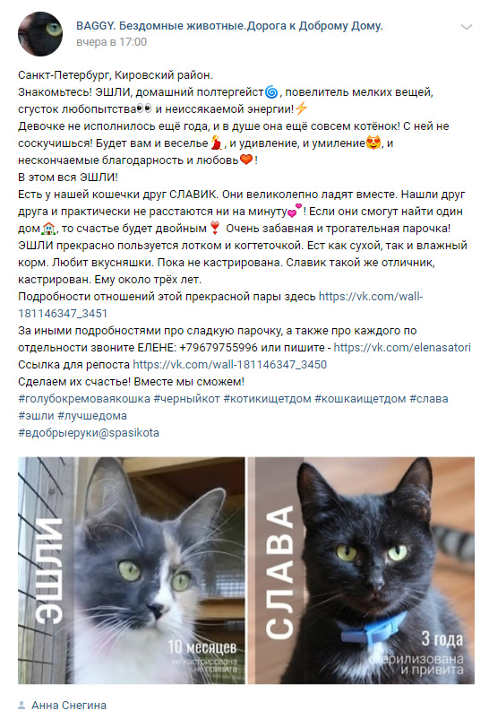 https://s02.yapfiles.ru/files/2400484/2.jpg