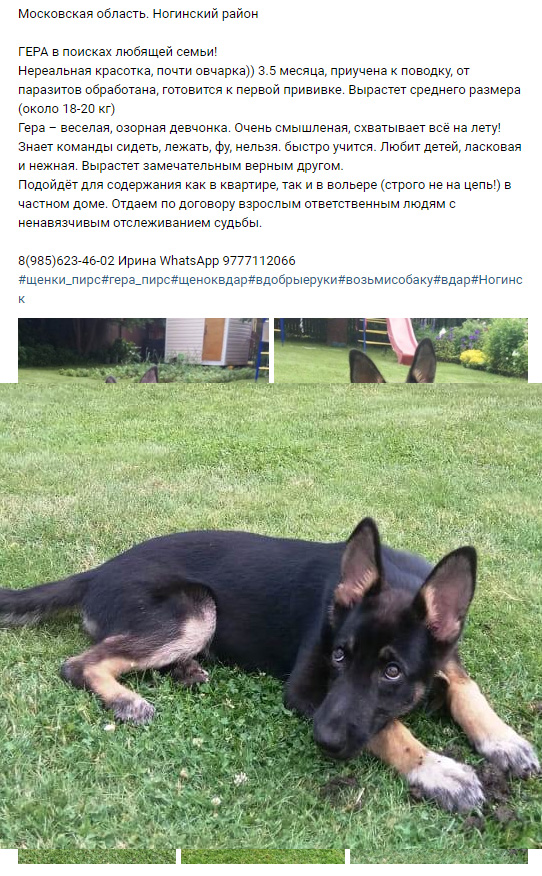 https://s02.yapfiles.ru/files/2400488/2.jpg