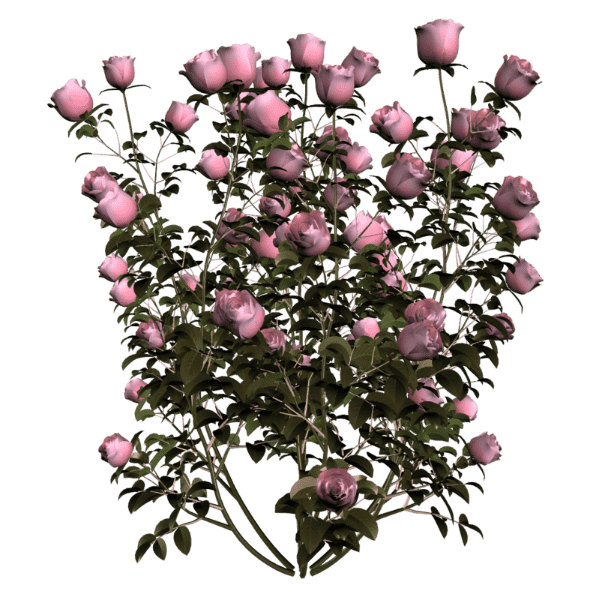 compressed-ggxy