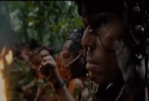 AridThisDungbeetle-size_restricted