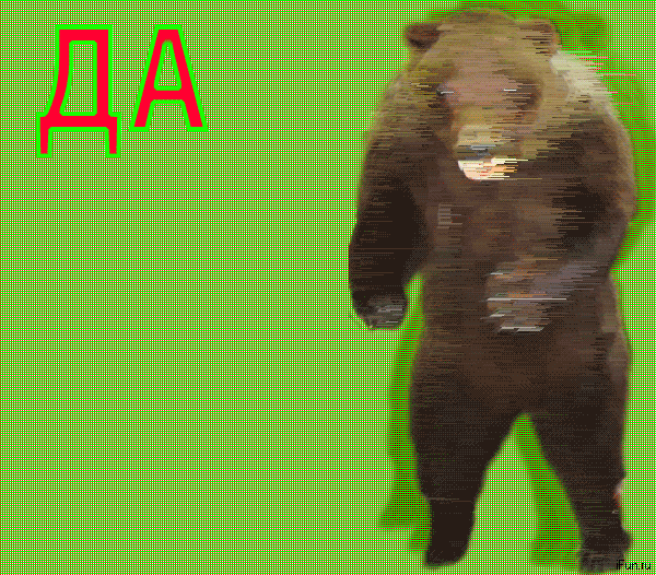 4we2j1r9