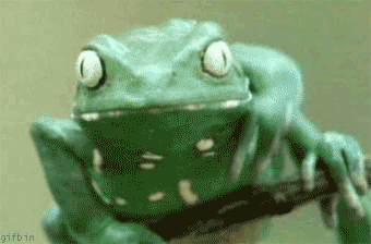 frog-scratching