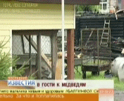 772c4a0600d5fbff43e209a51da8488c