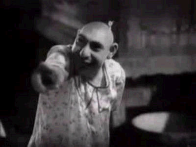 freaks_171007_foxes_poblanos