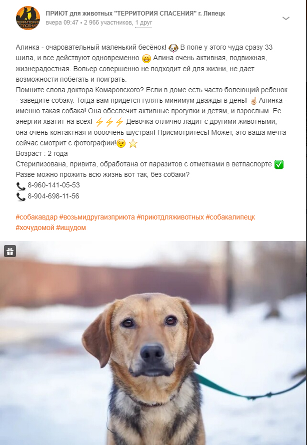 https://s02.yapfiles.ru/files/2422378/7.jpg
