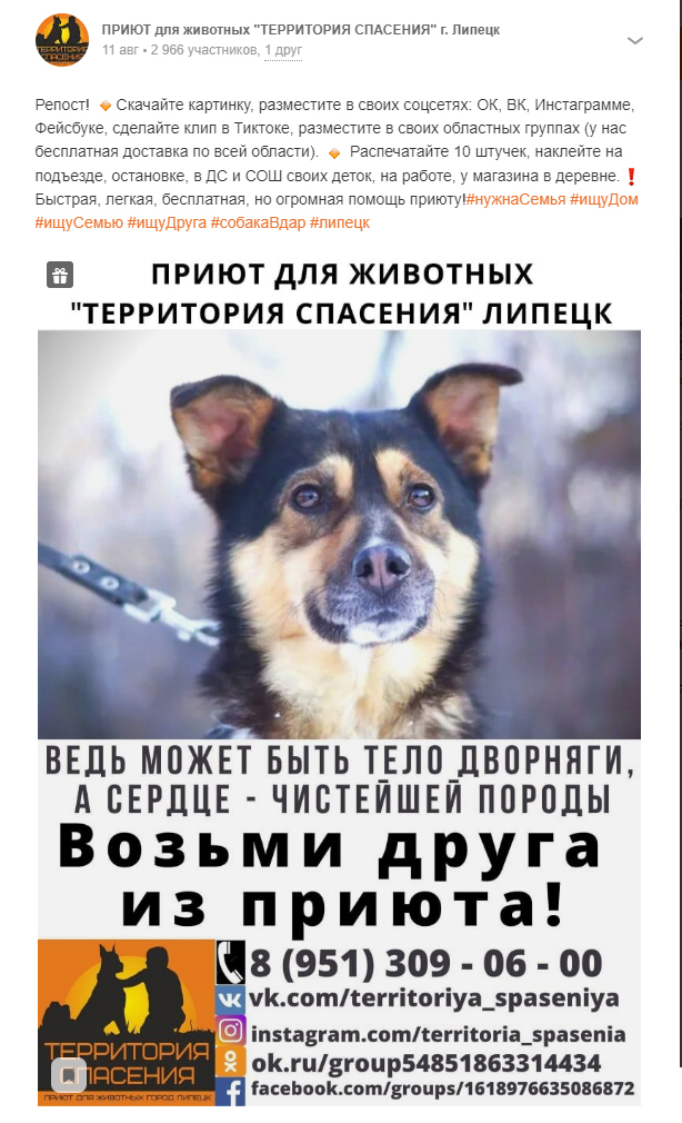https://s02.yapfiles.ru/files/2422384/7.jpg