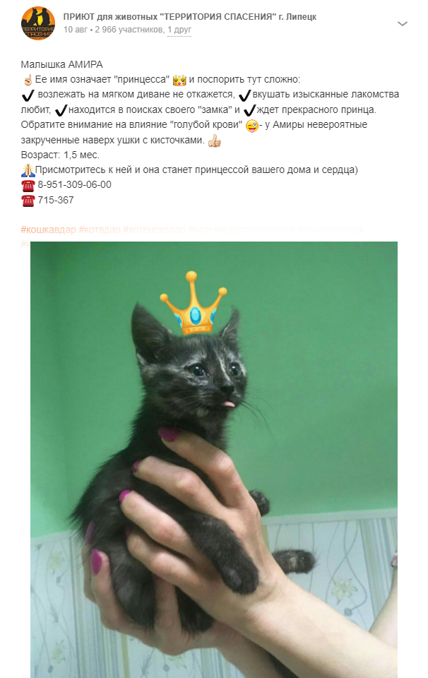 https://s02.yapfiles.ru/files/2422406/7.jpg