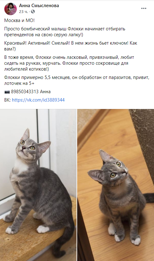 https://s02.yapfiles.ru/files/2443880/7.jpg