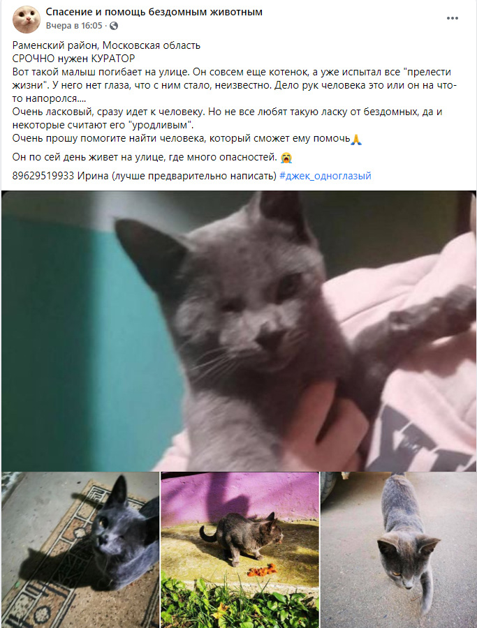 https://s02.yapfiles.ru/files/2443886/7.jpg