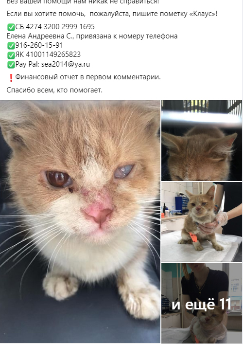 https://s02.yapfiles.ru/files/2443890/7.jpg