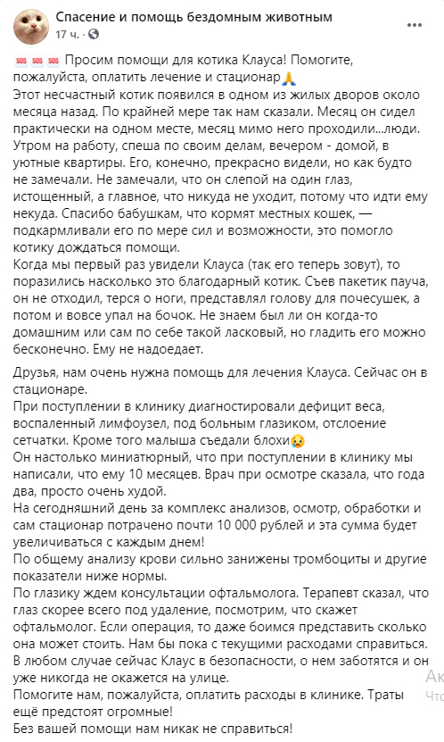 https://s02.yapfiles.ru/files/2443894/7.jpg