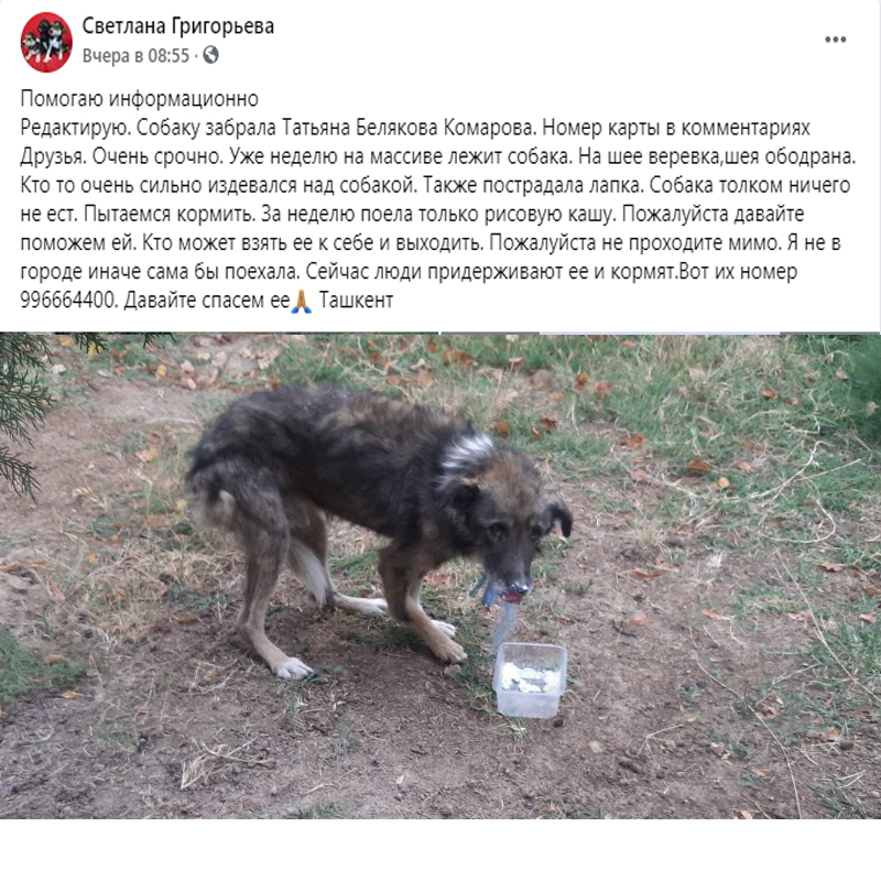 https://s02.yapfiles.ru/files/2444854/6.jpg