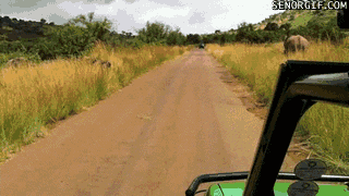 gifki_07