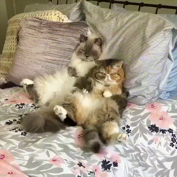 такси