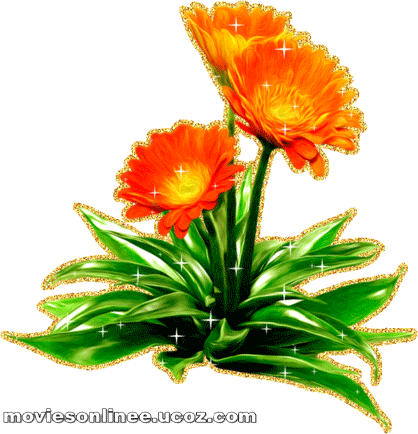 145028068_cvety_74