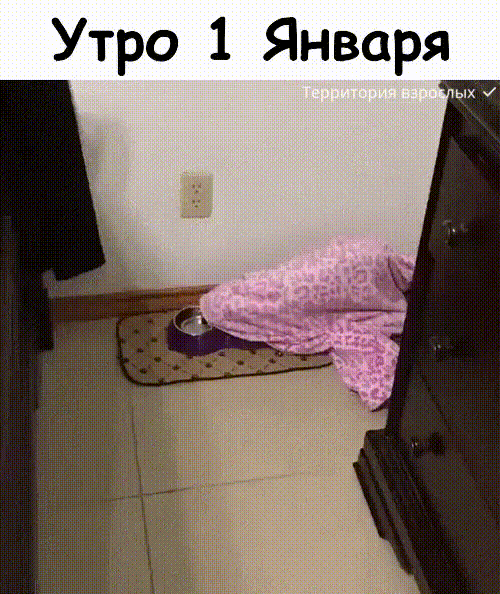 i-_4_