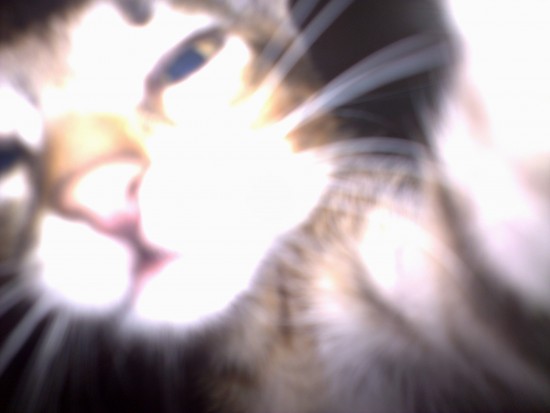 18052011166