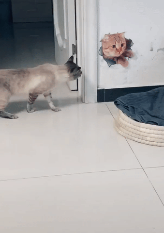 tmp_cleverpub_92061076e83632b22ec1f3a035f75dc8