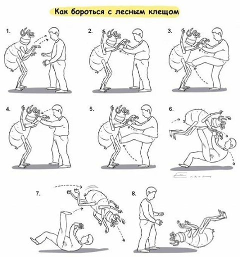 few54353454353454366