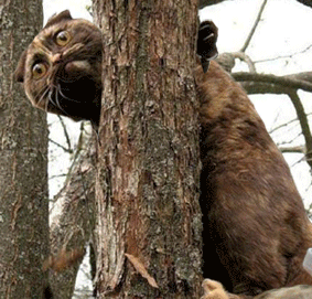 и-тут-пришла-Эмма