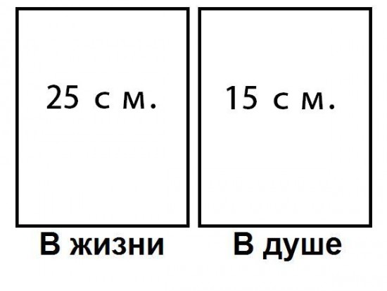 ЖИЗНЬ