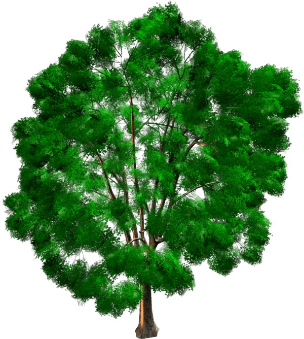 NrCVO