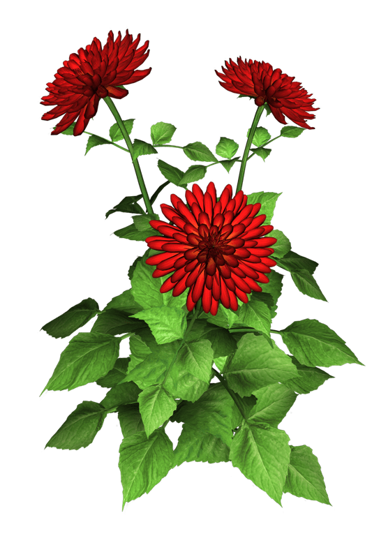 184694843-min