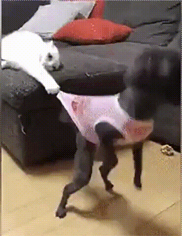 -никуда-не-пойдешь