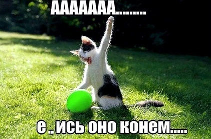 ебись.jpg