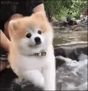243c1e46750ed