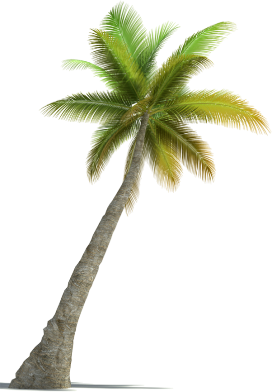 pngwing.com (18)