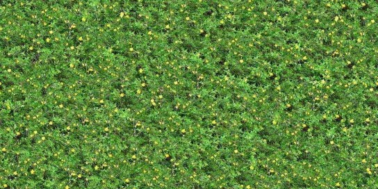 304221062 — копия