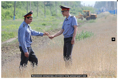 Любвеобильные сотрудники МВД