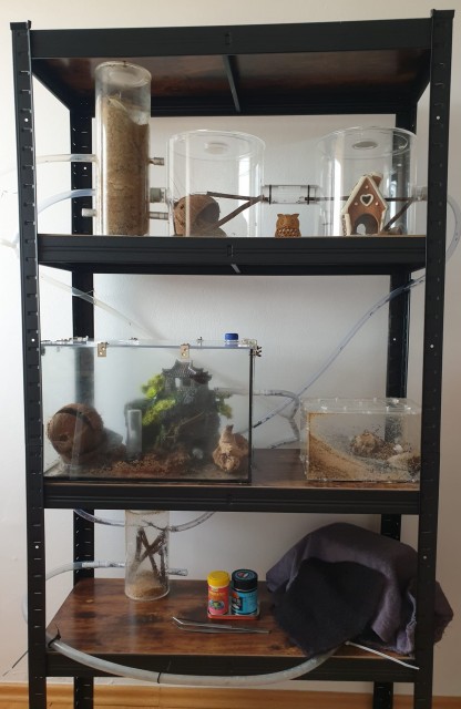 Муравьиный дом1