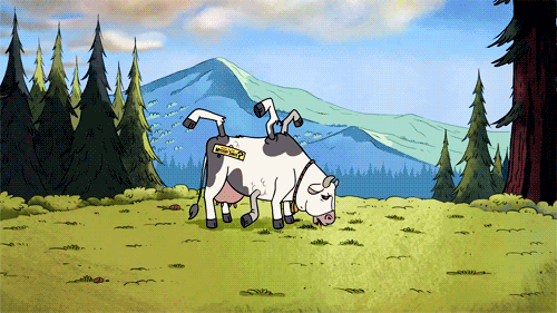 doc87337073_437187468